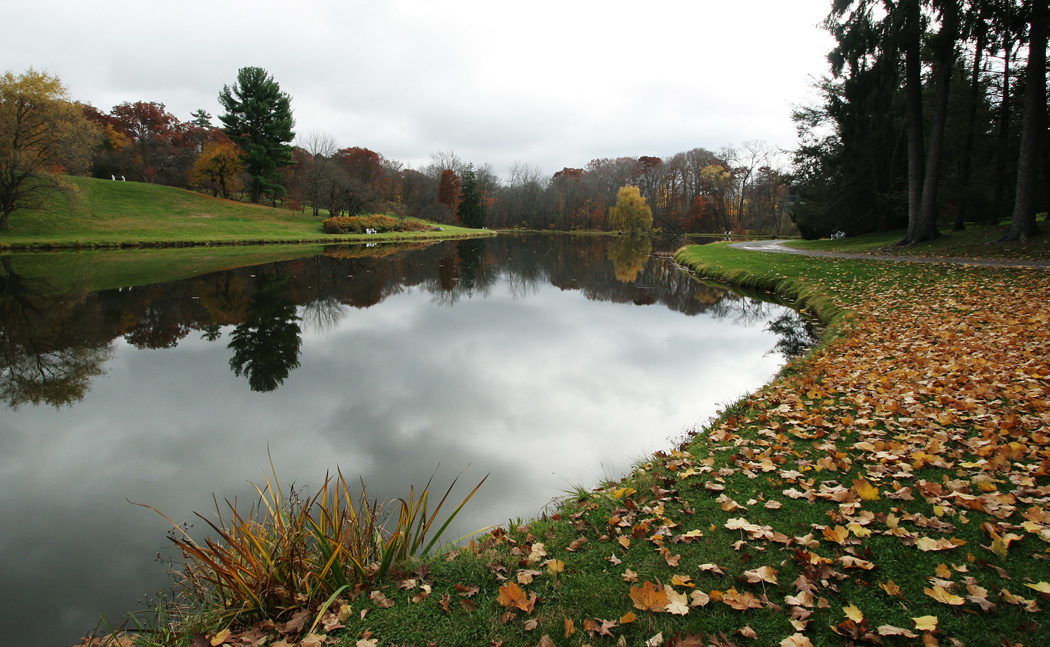 Vassar Lake