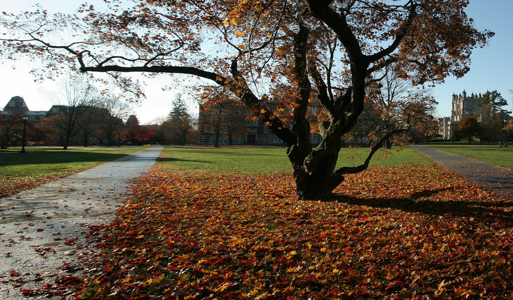 Vassar Quad
