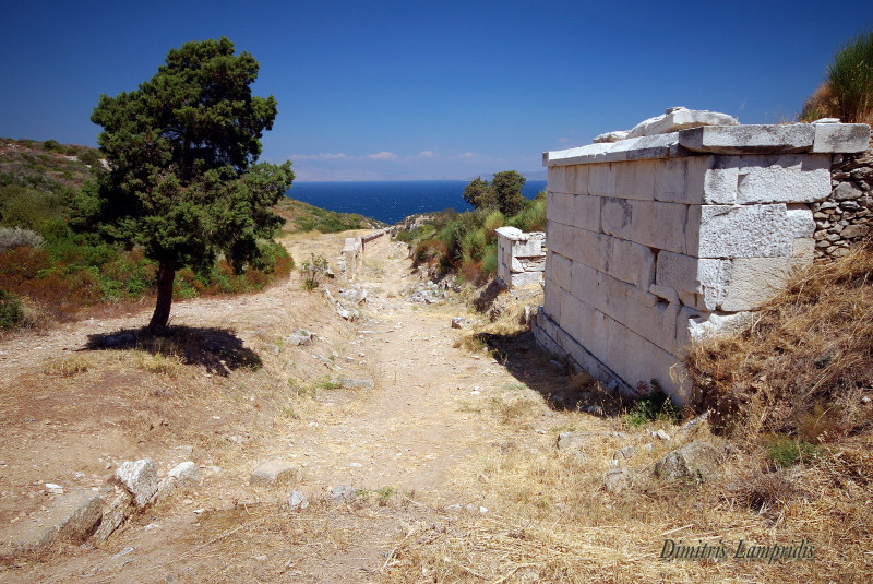 BURIAL   PRECINCTS  OF  DIOGEITON ...