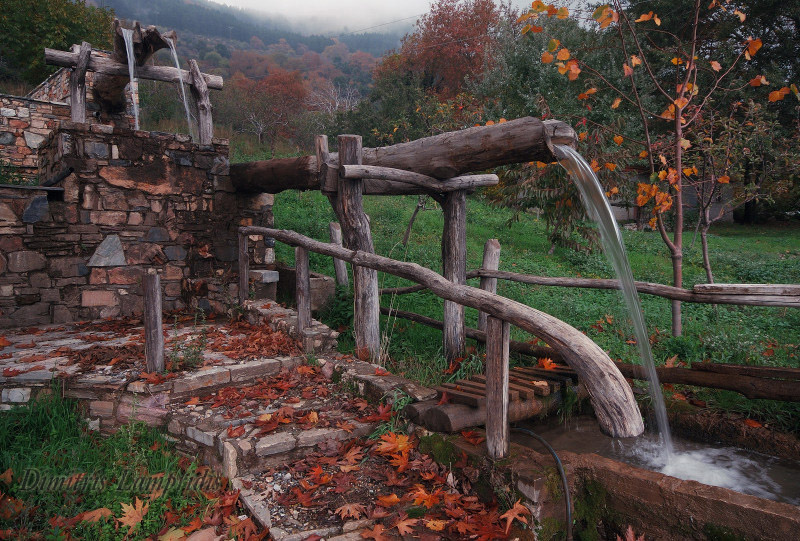 PELION  ...