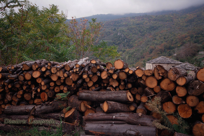 PELION  ...