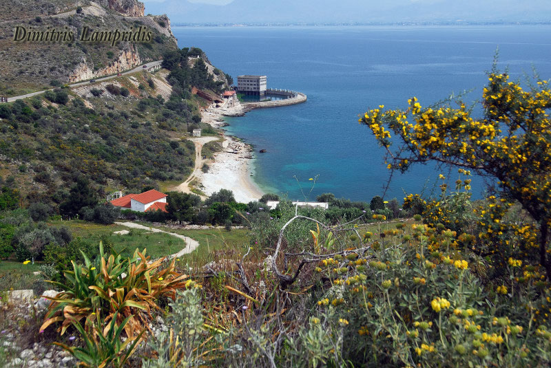 KYNOURIA  ...