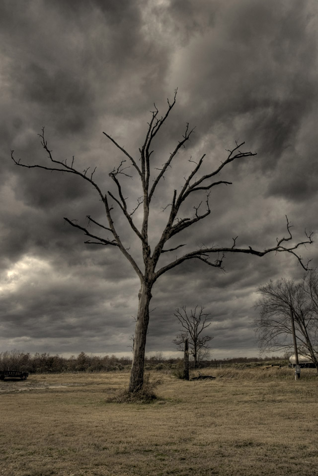 forlorn...