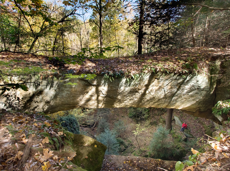 Ladd Natural Bridge