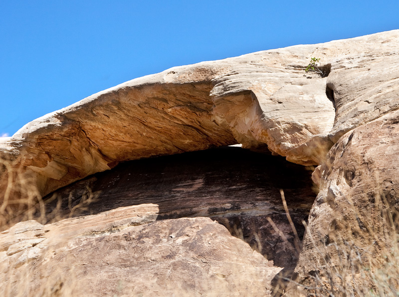 Acorn Arch