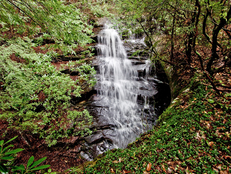 Koger Fork Cascade