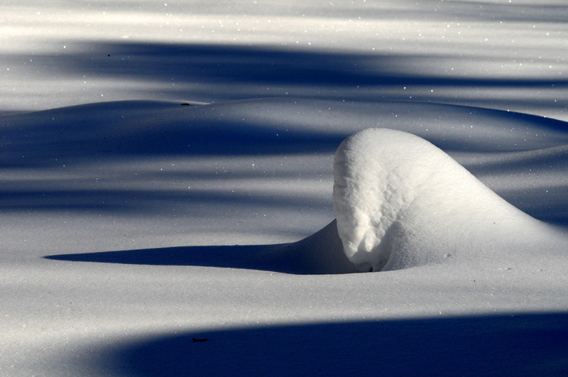Snow shapes Post Snowmageddon 2/2010