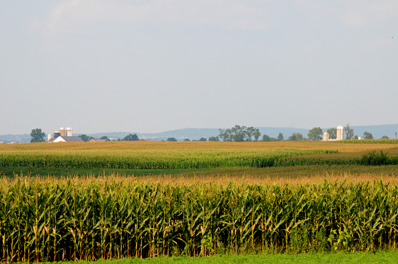 View of farmland from passenger car
