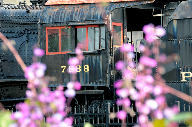 Locomotive through flowers Strasburg