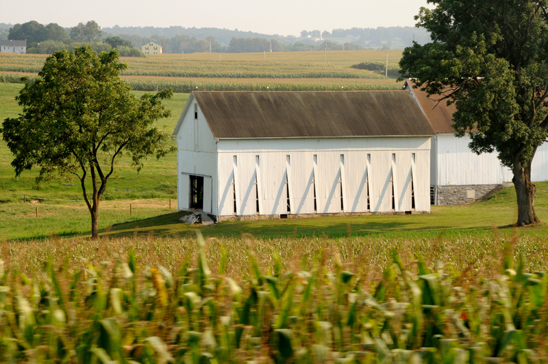 View of farmland from passenger car