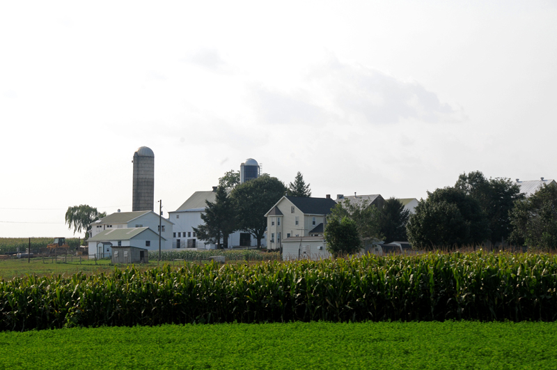 View of farmland from passenger car