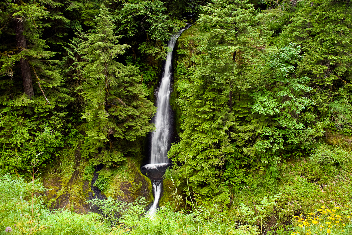 Loowit Falls 2008