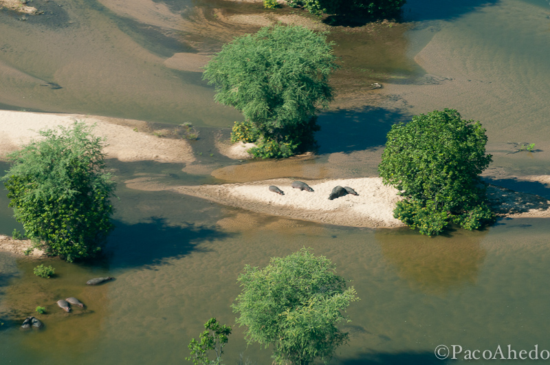 From the air