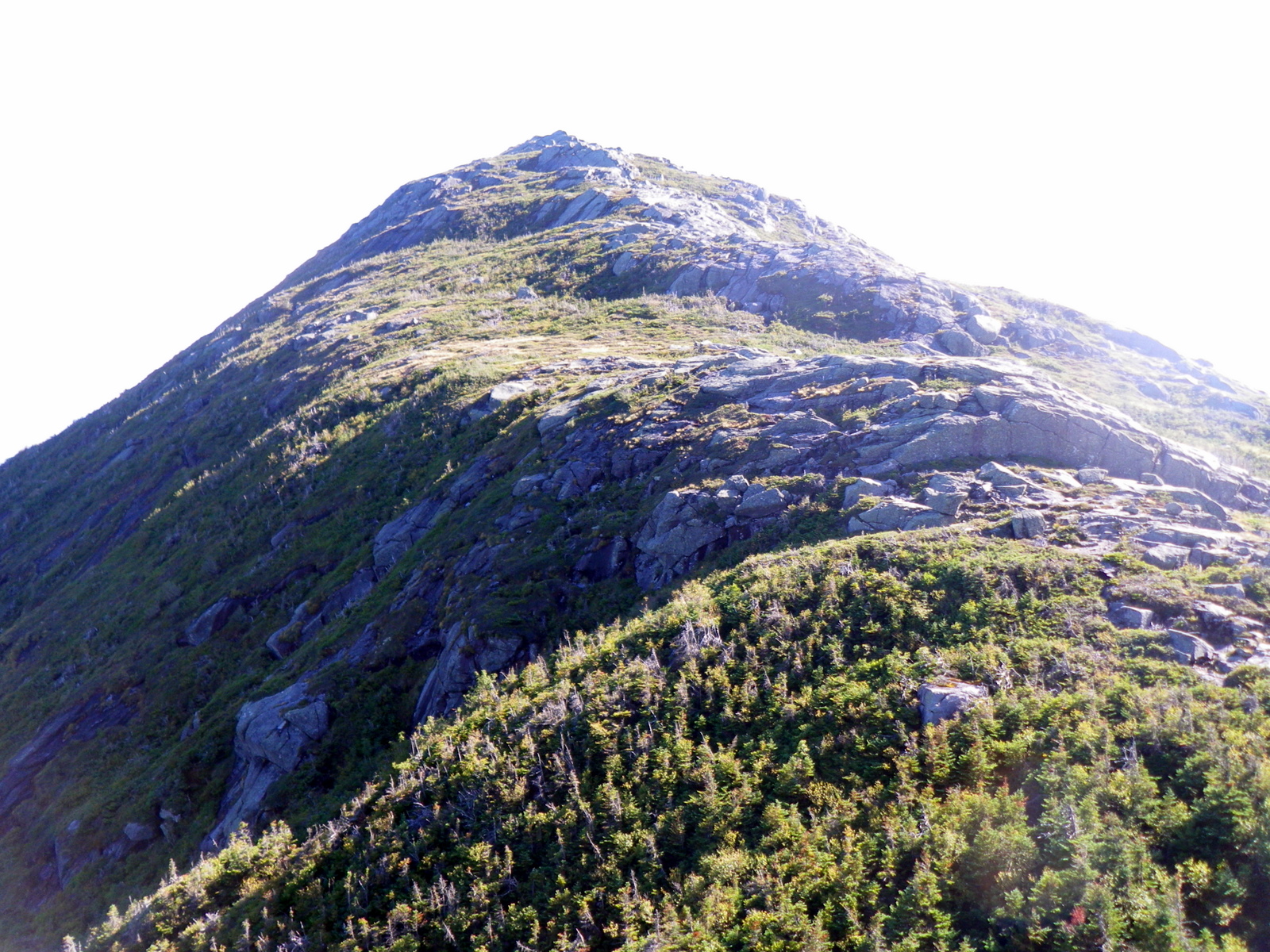 Haystack summit