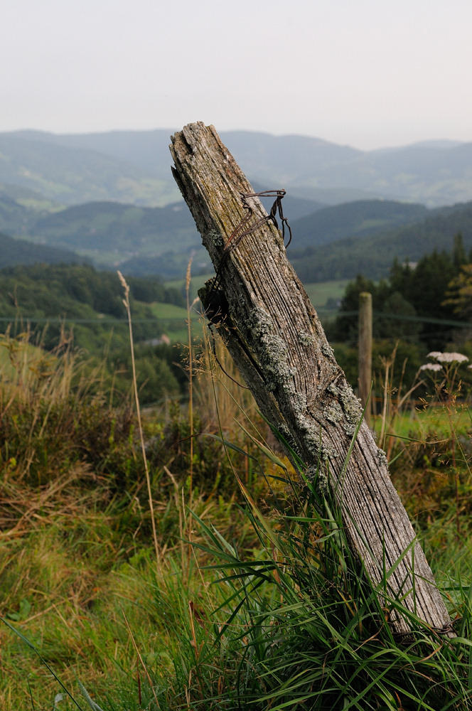Vosges Fence Post