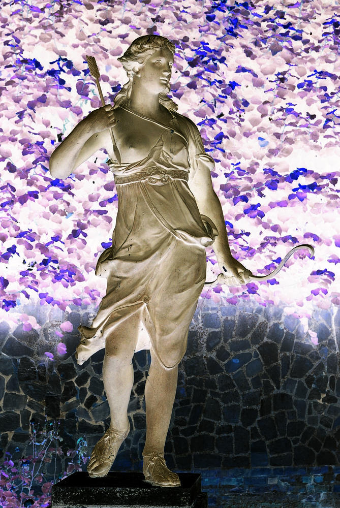 Inverted Diana