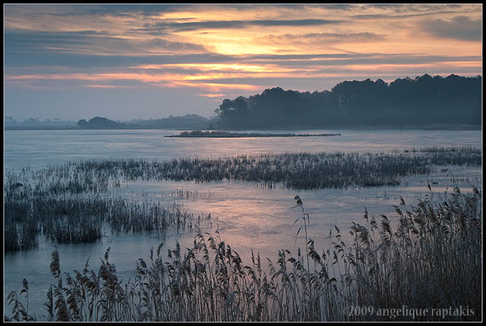frozen sunrise