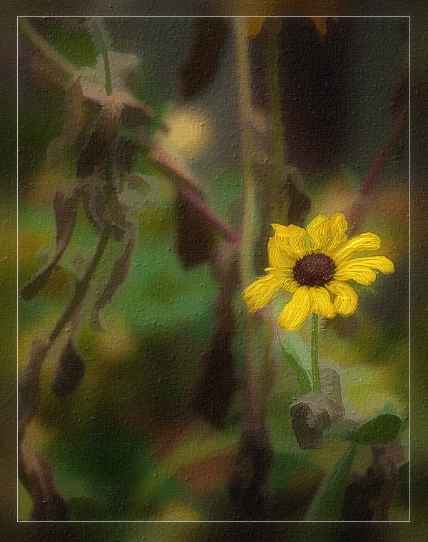A touch of Painter IX to the flower