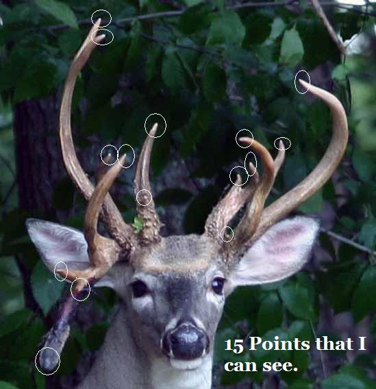 2009 Non Typical With a Drop Tine