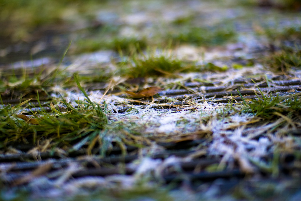 first frost