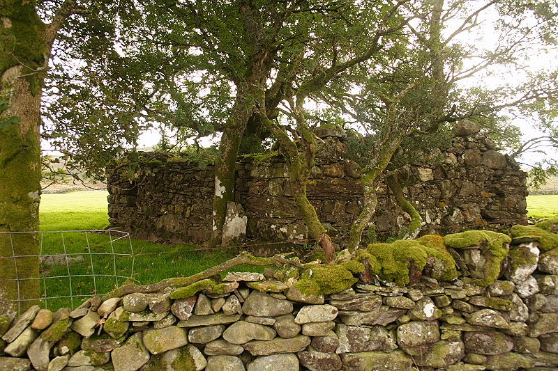 Dolau