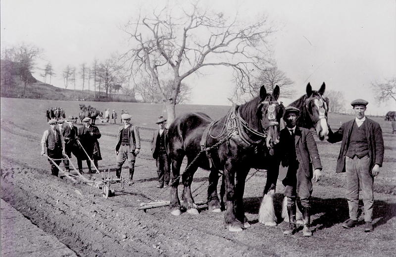 Ploughing Competition