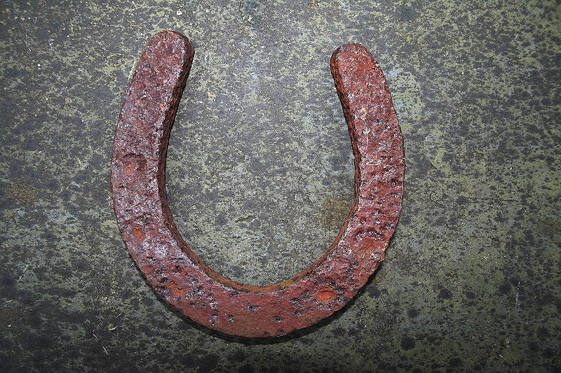 Pedol / Horseshoe