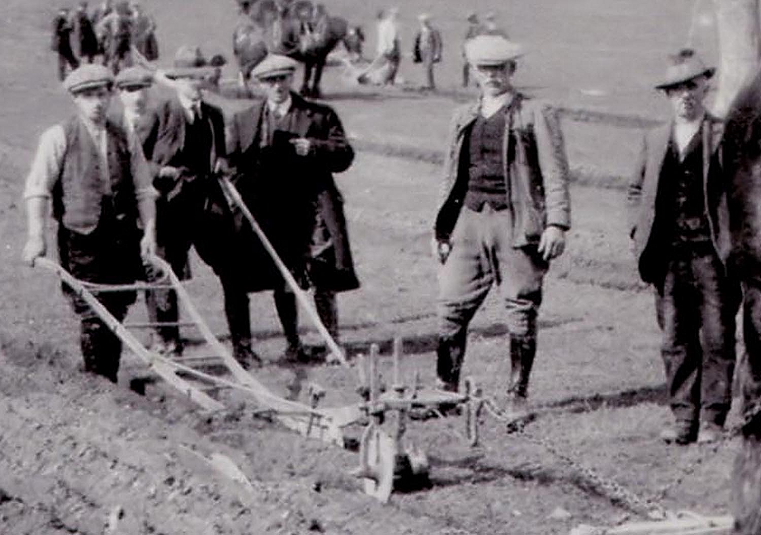 Ploughing Competition (Crop)