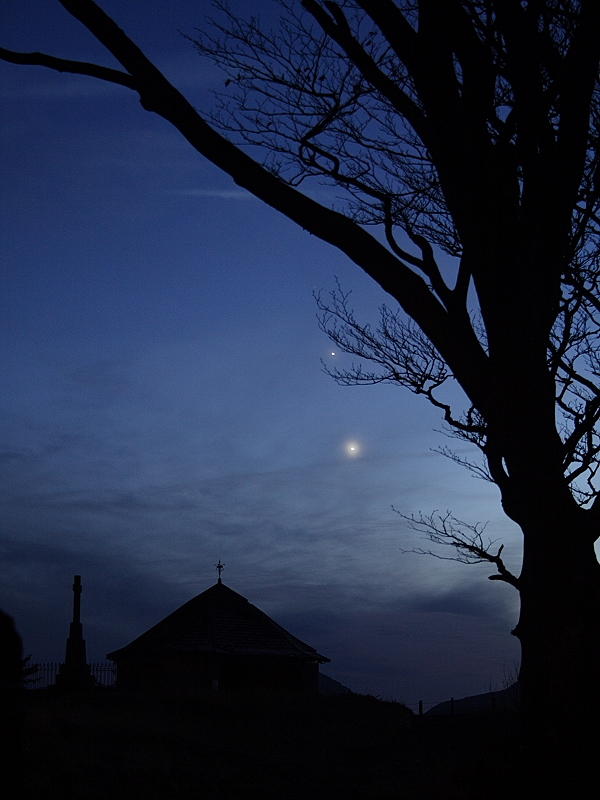 Jupiter, Venus and Tree