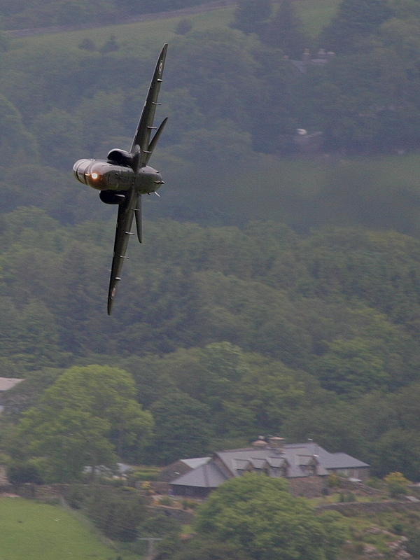 Hawk T1
