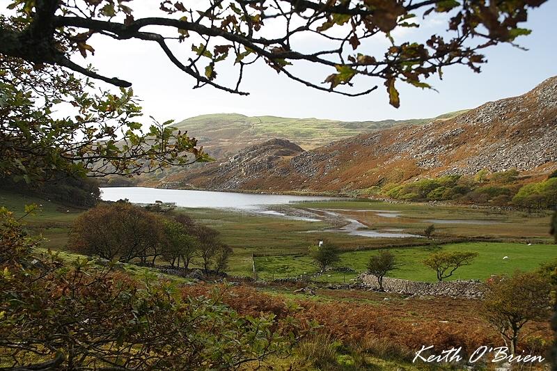 Llyn Cwm Bychan 3.jpg