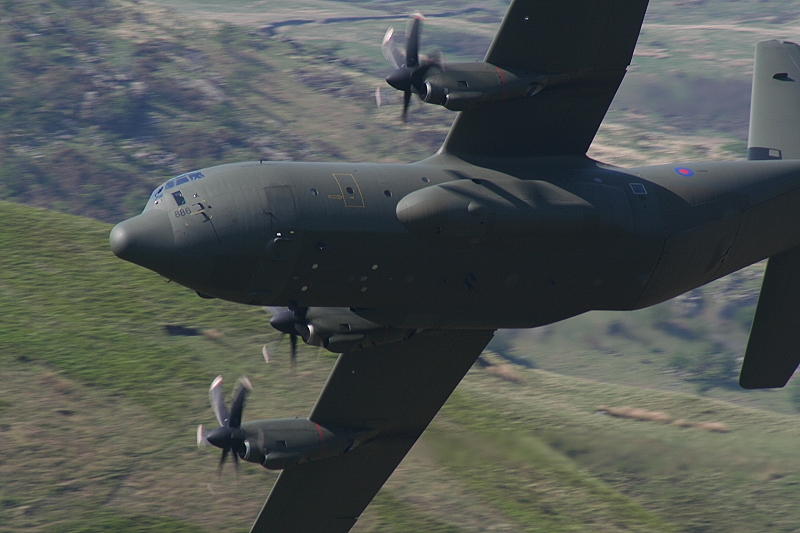 Herc007.JPG
