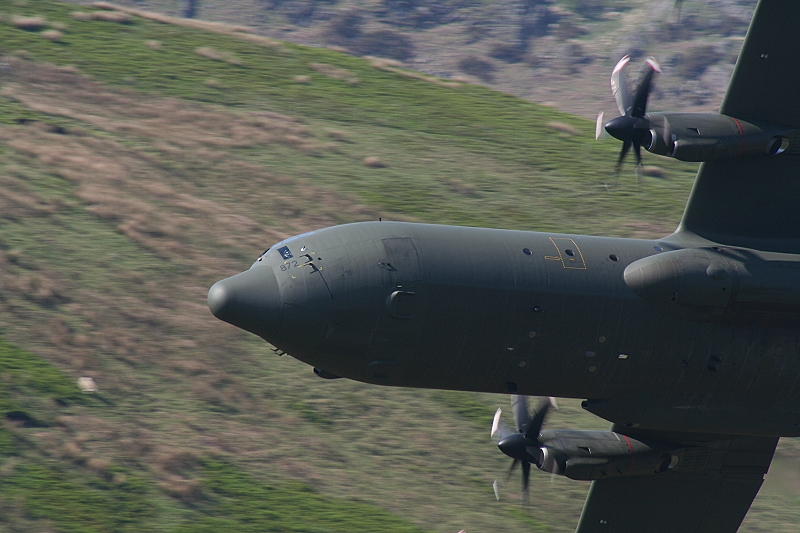 Herc011.JPG