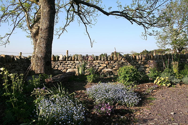 Caer Gors0007.JPG