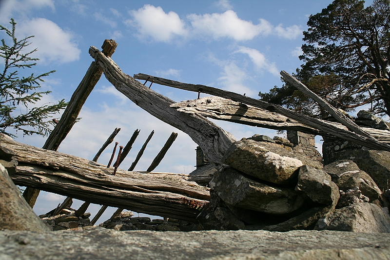 Blaen Cae0006.JPG