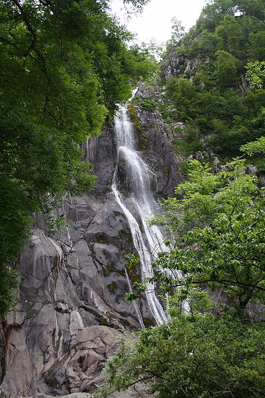 Aber Falls 04