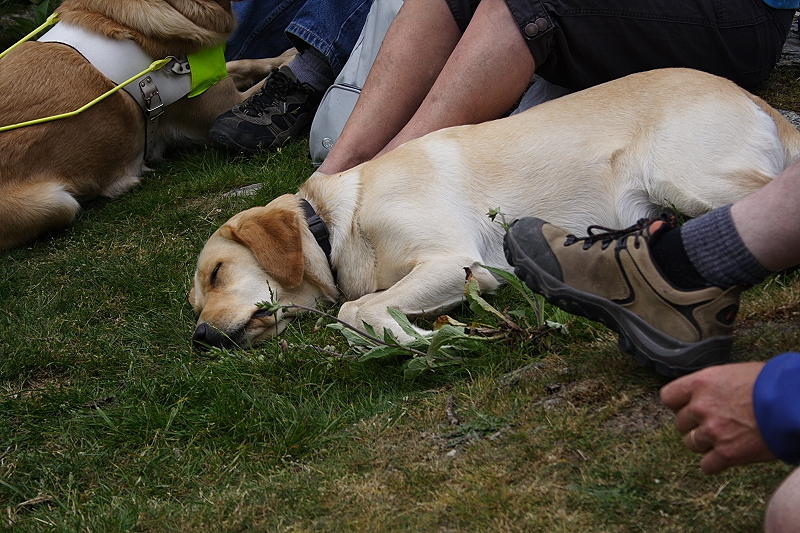 Picnic 09