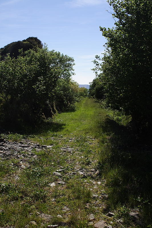 Trackbed Looking West