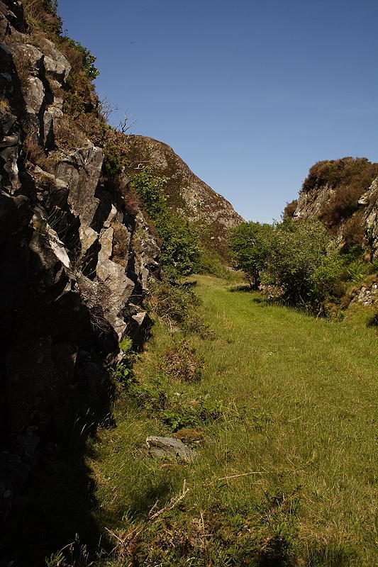 Cutting Looking East