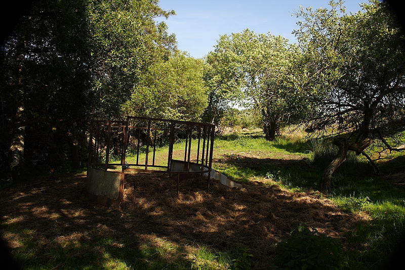 Hay Feed Looking East