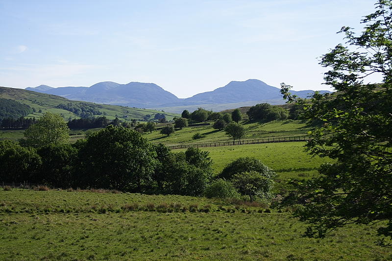 Rhinogs