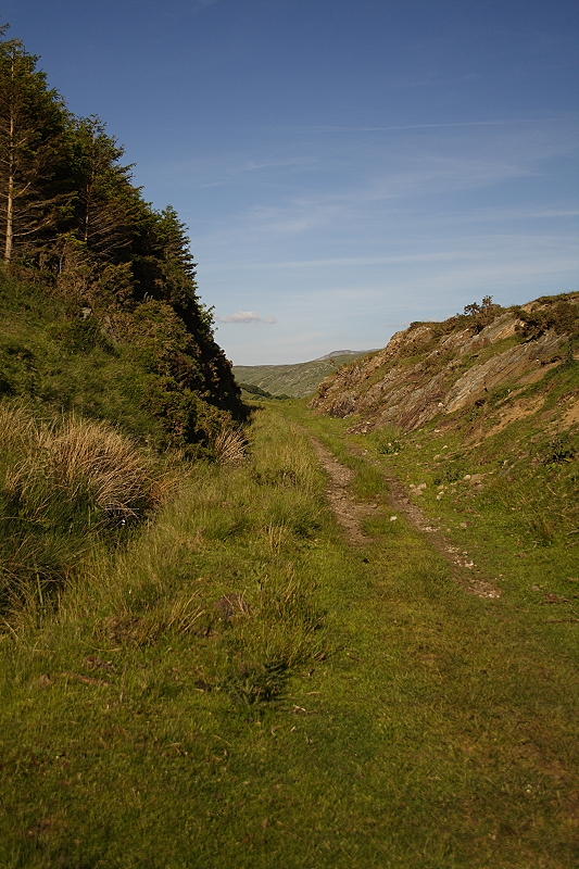 Cutting Looking West