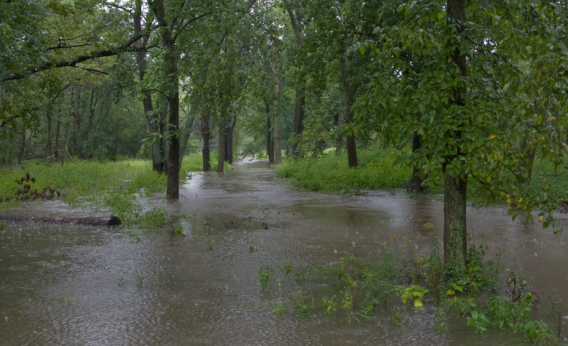Big Rain of 2008