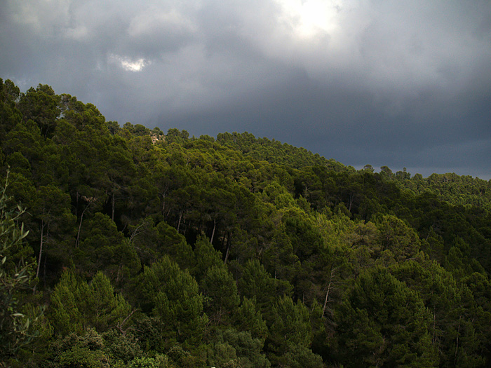 Dei, Mallorca 