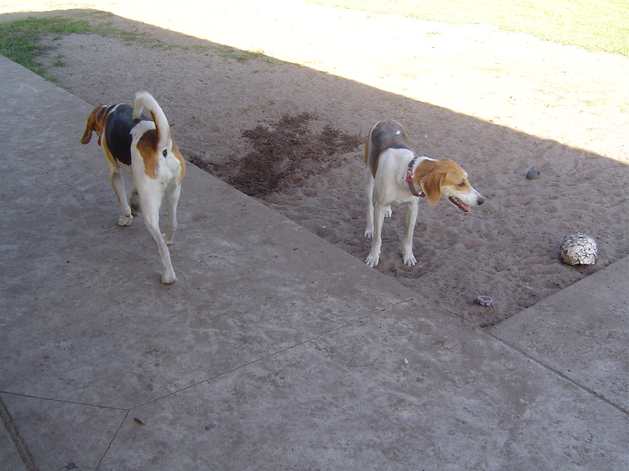 May 16 09 020.JPG