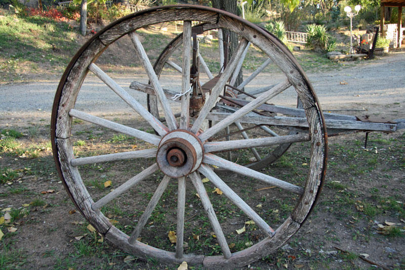 wheel
