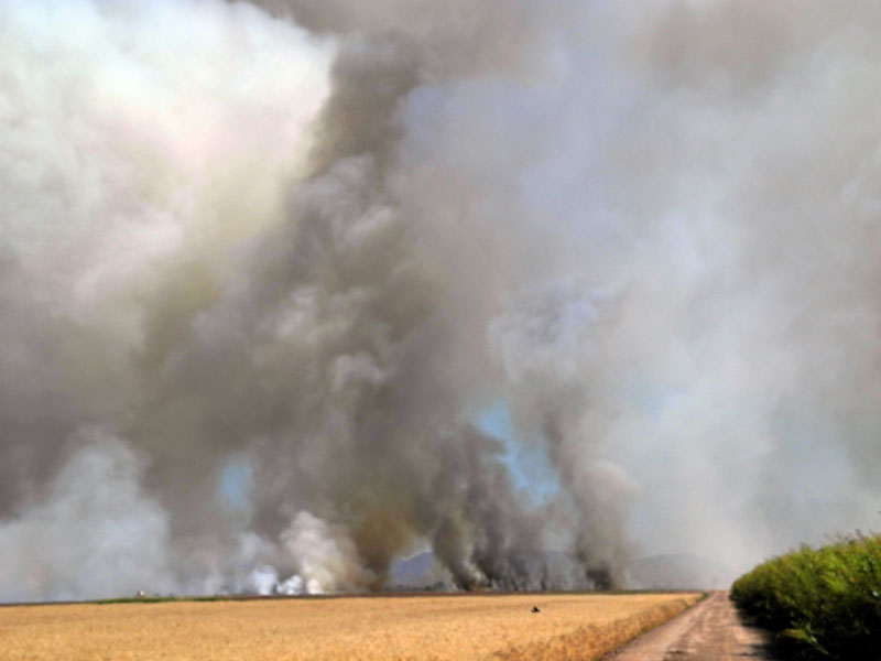 June 8, 2012   Burning of the fields