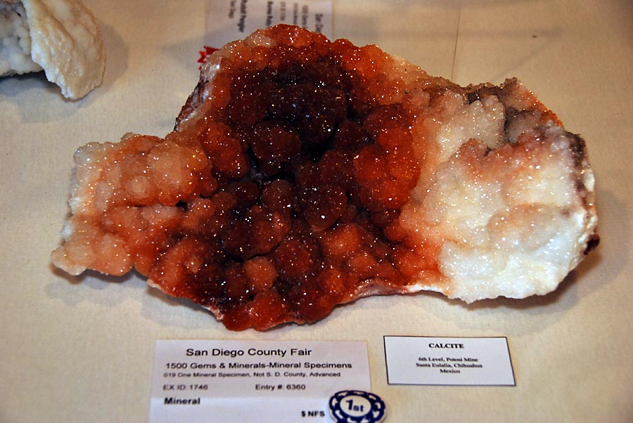 Gems and Minerals (and fossils)
