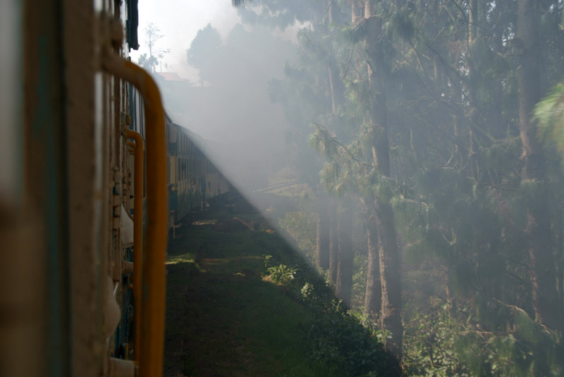 Early Morning on the Nilgiri Express