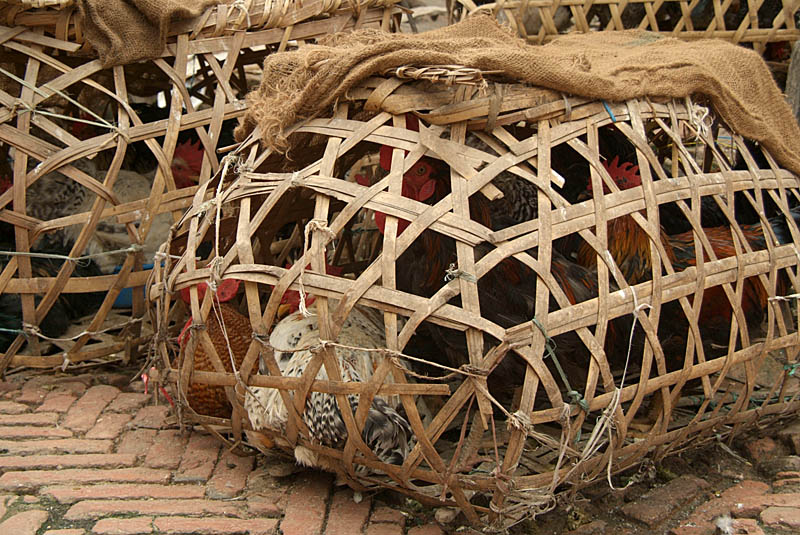 Chicken in a Basket Bhaktapur